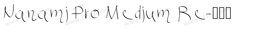 Nanami Pro Medium Re字体转换